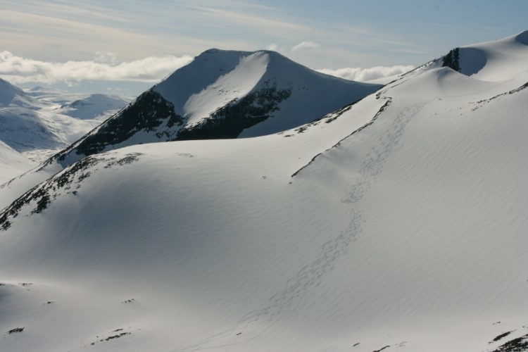 Våra spår på knivkammen. Heliski Riksgränsen 8 maj 2009. Foto: Andreas Bengtsson